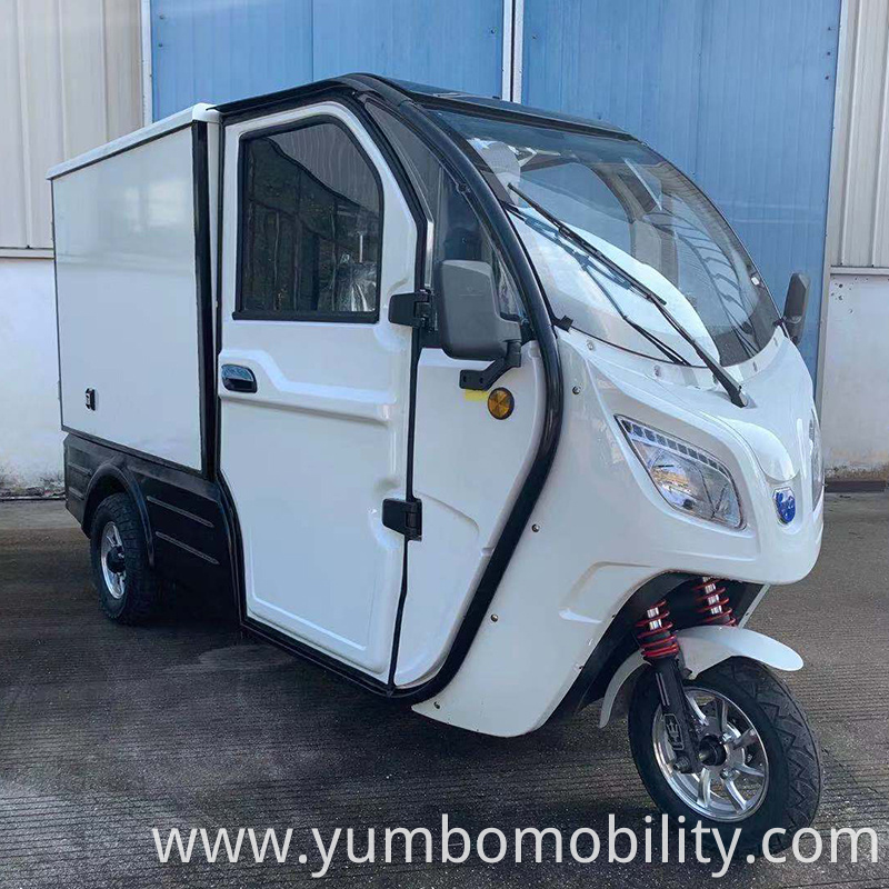 Three Wheeler Electric Cargo Vehicle